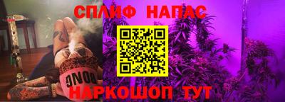 гидропоника Будённовск