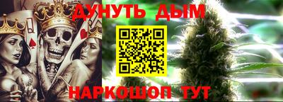 гидропоника Будённовск