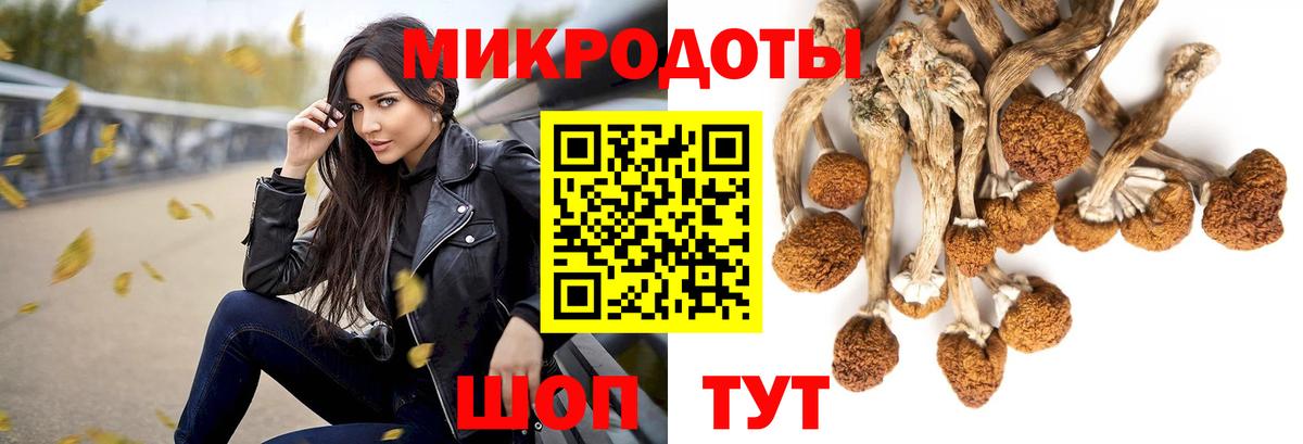 Псилоцибиновые грибы прущие грибы  Псилоцибиновые грибы мухоморы  Семёнов  Вход с VPN 